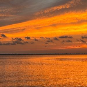 Meet your Posher, Amelia